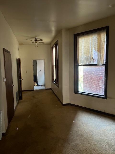 spare room featuring ceiling fan and carpet floors