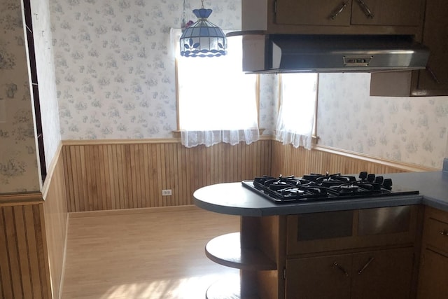 kitchen featuring gas stovetop and ventilation hood