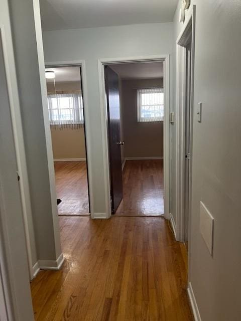 hallway with hardwood / wood-style floors and a healthy amount of sunlight