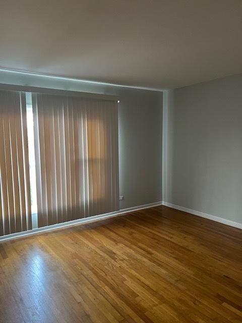 spare room featuring wood-type flooring