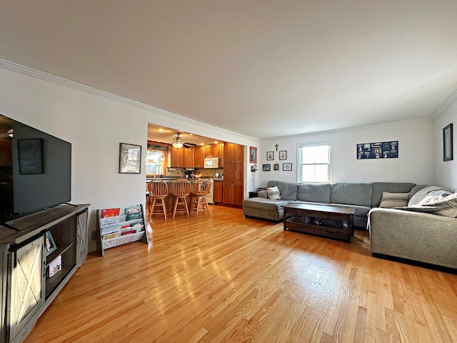 living room featuring ceiling fan, light wood-type flooring, and ornamental molding