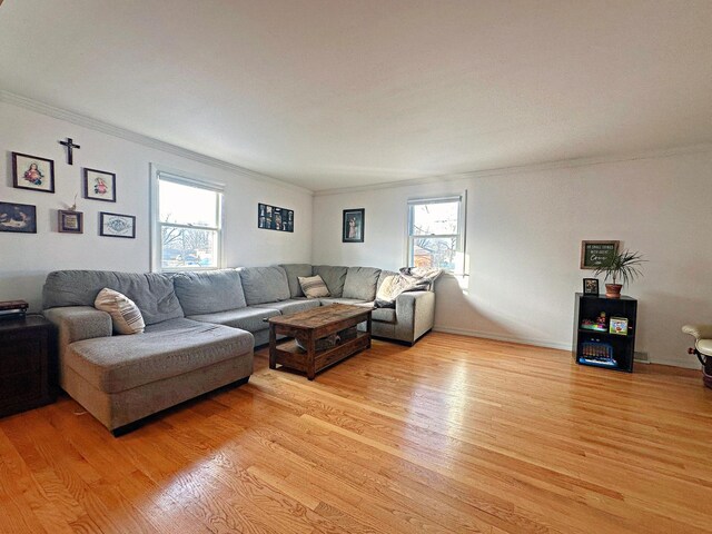 living room featuring light wood-type flooring, plenty of natural light, and crown molding