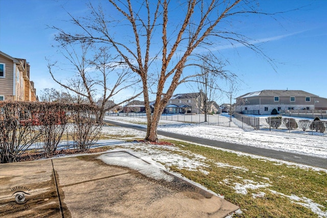 view of yard covered in snow