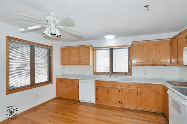 kitchen featuring ceiling fan, backsplash, sink, white appliances, and light wood-type flooring