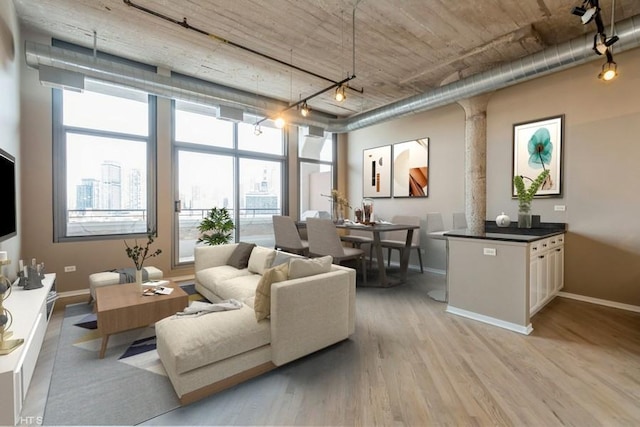 living room featuring floor to ceiling windows, rail lighting, a healthy amount of sunlight, and light wood-type flooring