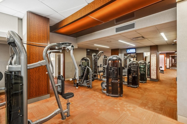 gym featuring a paneled ceiling and carpet flooring