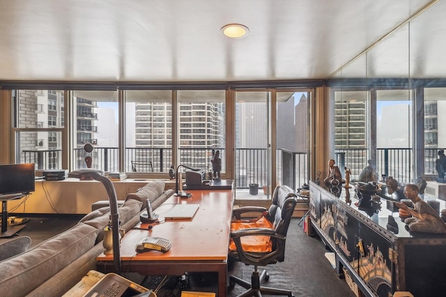 carpeted office featuring a wealth of natural light