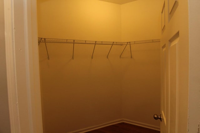 walk in closet with hardwood / wood-style flooring