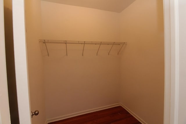 walk in closet featuring dark hardwood / wood-style floors