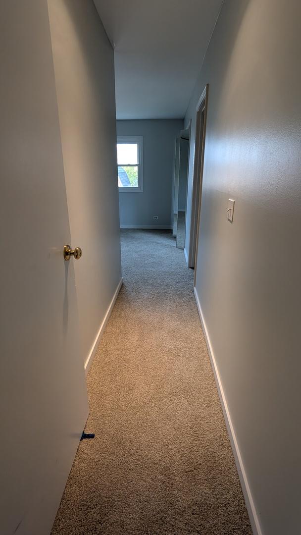 corridor featuring baseboards and carpet flooring