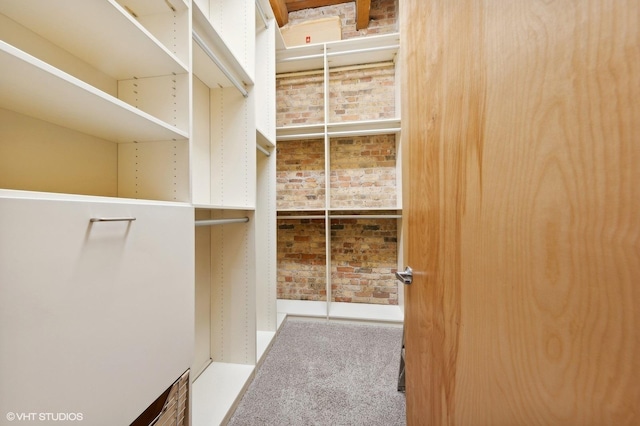 walk in closet featuring carpet floors