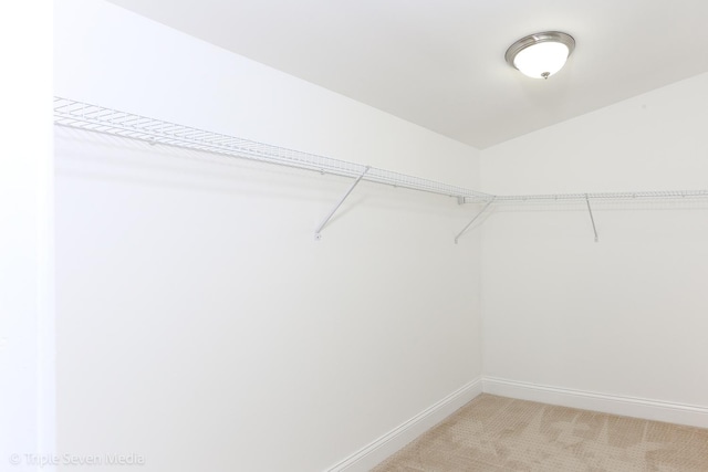 walk in closet featuring light carpet