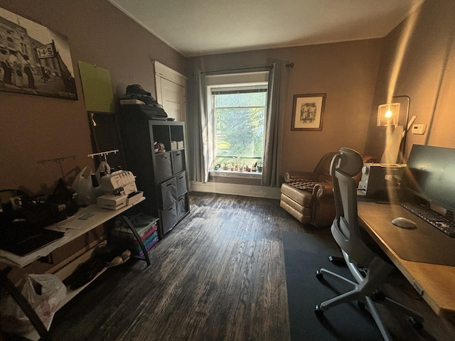 office area with dark hardwood / wood-style floors