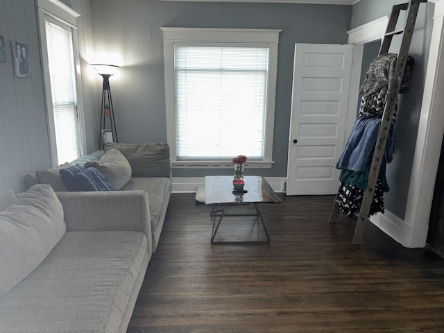 living room featuring dark hardwood / wood-style flooring and plenty of natural light