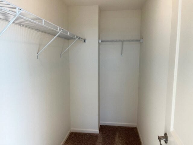 spacious closet featuring dark colored carpet