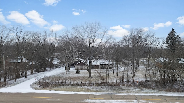 view of yard layered in snow