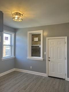 entryway featuring dark hardwood / wood-style floors