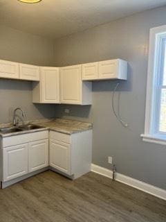 kitchen featuring dark hardwood / wood-style floors, white cabinetry, and sink