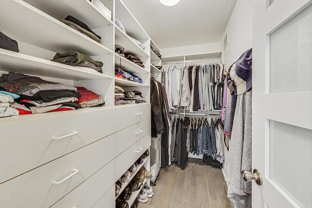 spacious closet with wood-type flooring