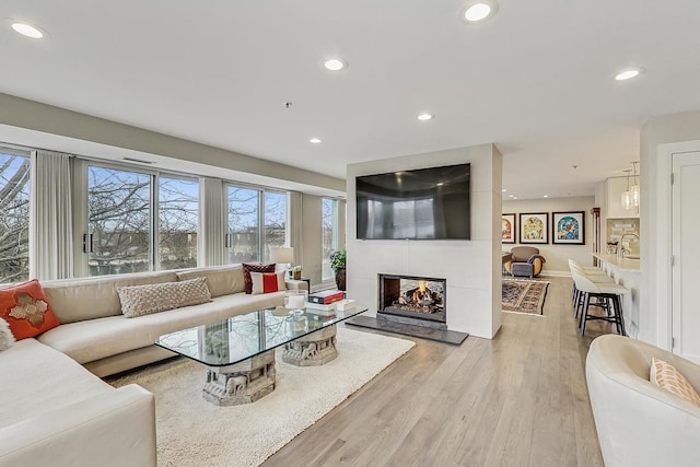 living room featuring a multi sided fireplace and light wood-type flooring