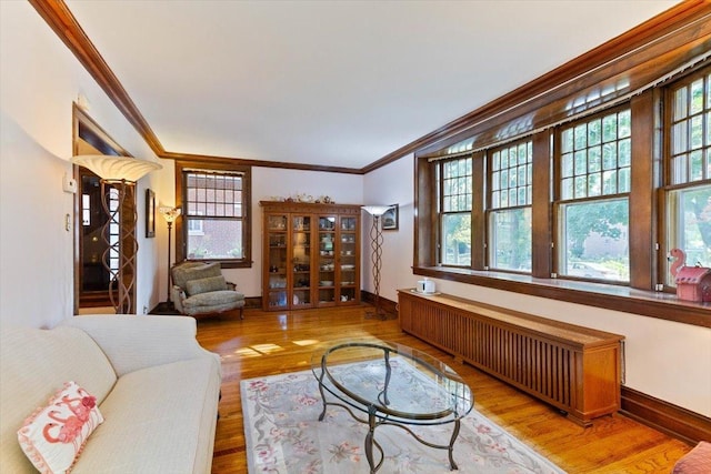 living room featuring radiator, crown molding, and wood-type flooring