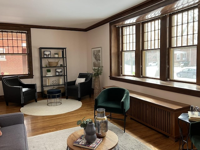 sitting room featuring radiator, crown molding, a wealth of natural light, and wood-type flooring