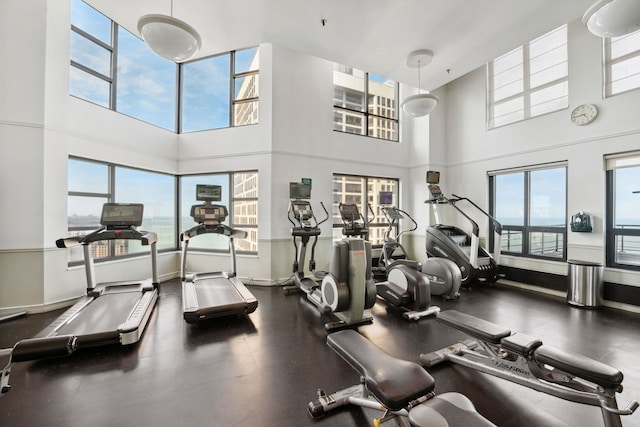 exercise room featuring a high ceiling