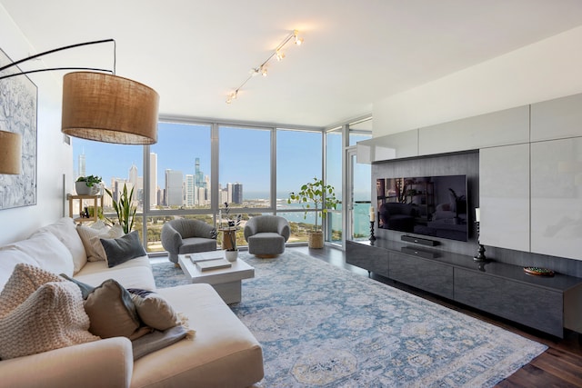 living room featuring floor to ceiling windows and dark wood-type flooring