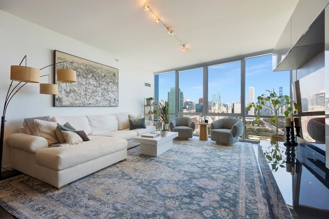 living room with a wall of windows, rail lighting, and a wealth of natural light