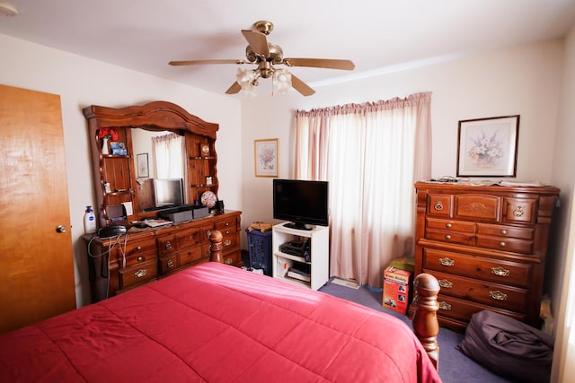 bedroom with ceiling fan and multiple windows