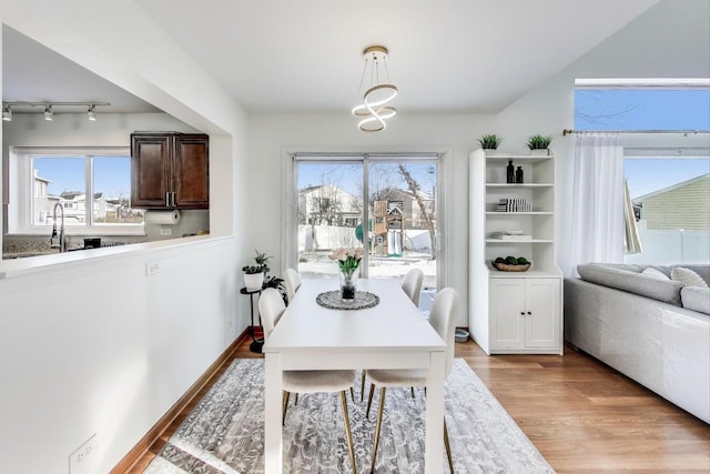 dining area with light hardwood / wood-style flooring and a healthy amount of sunlight