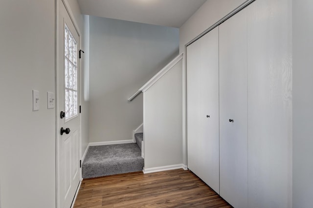 entrance foyer with dark hardwood / wood-style flooring