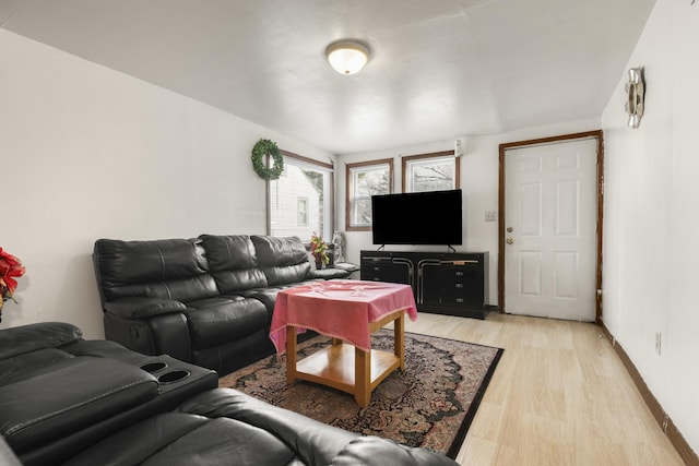 living room featuring light hardwood / wood-style flooring