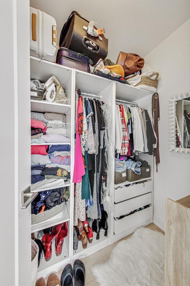 view of spacious closet