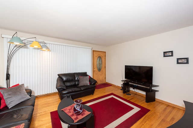 living room featuring wood-type flooring