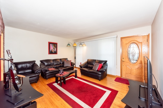 living room with wood-type flooring