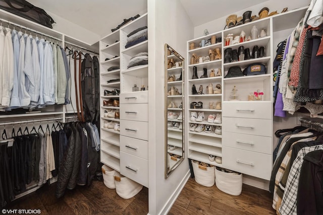 walk in closet featuring dark hardwood / wood-style floors