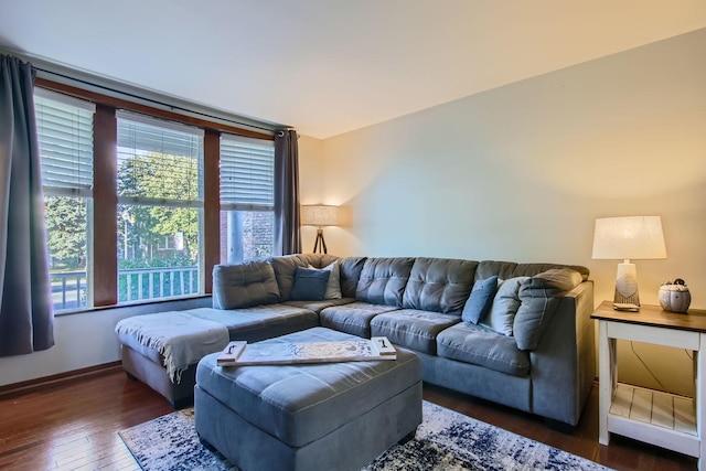 living room featuring dark hardwood / wood-style flooring