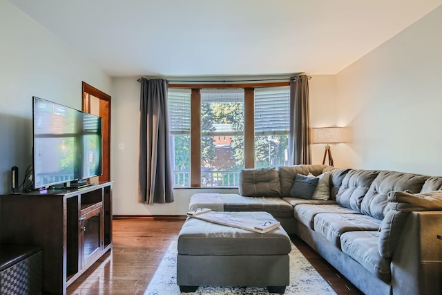 living room with dark hardwood / wood-style floors