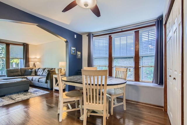 dining room featuring a wealth of natural light, ceiling fan, and dark hardwood / wood-style floors