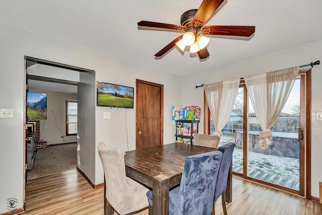 dining room with ceiling fan and light hardwood / wood-style flooring