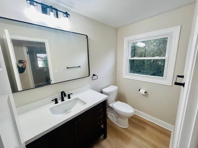 bathroom featuring vanity, hardwood / wood-style flooring, and toilet