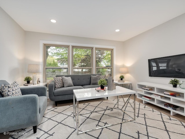 living room with light hardwood / wood-style flooring and a healthy amount of sunlight