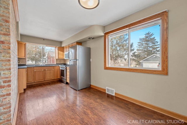 kitchen featuring appliances with stainless steel finishes, dark wood-type flooring, and sink