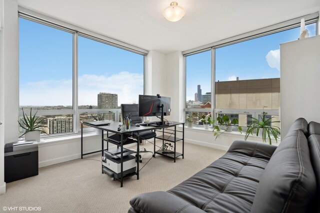 office area with light colored carpet and a healthy amount of sunlight