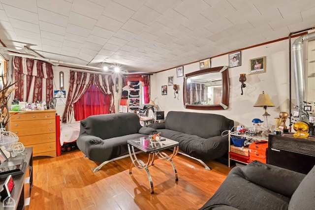 living room featuring crown molding and light hardwood / wood-style floors