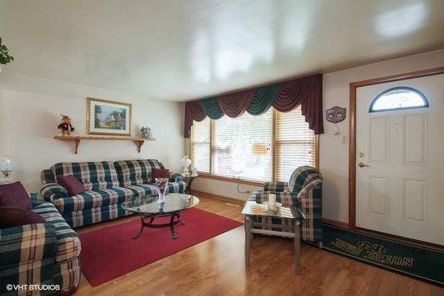 living room featuring hardwood / wood-style flooring and plenty of natural light