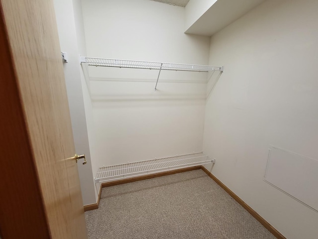 walk in closet featuring carpet flooring