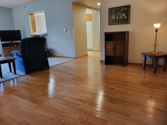 living room featuring light hardwood / wood-style flooring