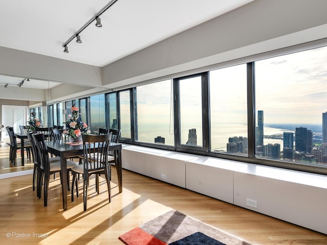 dining room featuring rail lighting and light hardwood / wood-style floors